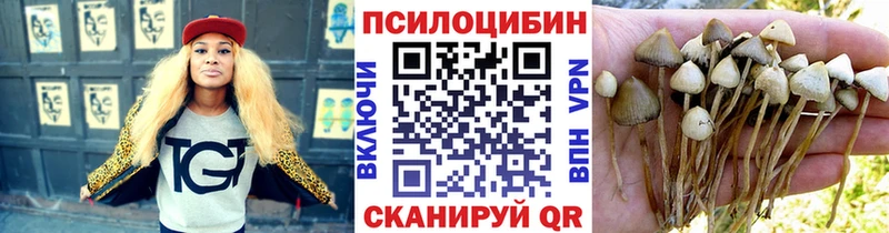 Галлюциногенные грибы Psilocybine cubensis  ОМГ ОМГ сайт  Елабуга 