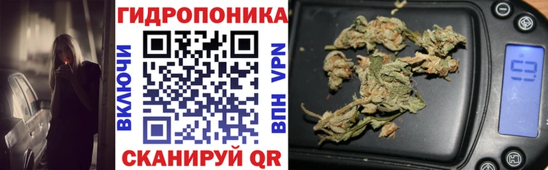 купить закладку Елабуга Каннабис марихуана